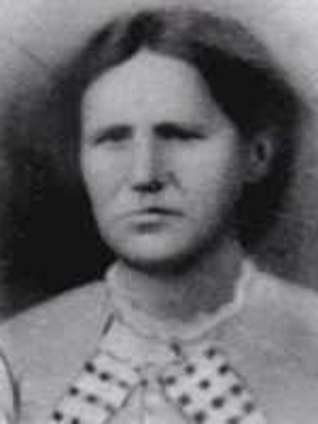 Artemesia Clawson (1846 - 1898) Profile